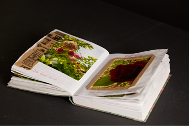 Leaf it to architecture – the importance of designing with green space in mind